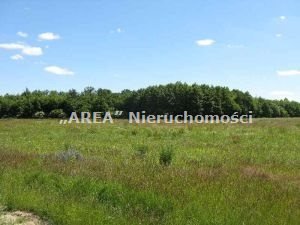 Działka 3004 m² z mediami i warunkami zabudowy działka Sielachowskie