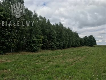 Działka siedliskowa na sprzedaż Ługowice 33 800m2 Foto 2