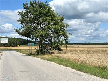 Polecam działkę inwestycyjną 3730 m² w Śladkowie Małym działka Śladków Mały, Śladków Mały, Śladków Mały