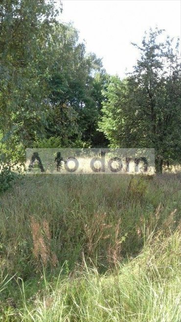 Działka 2091 m² w Markach (media, plan 100 M€) działka Marki