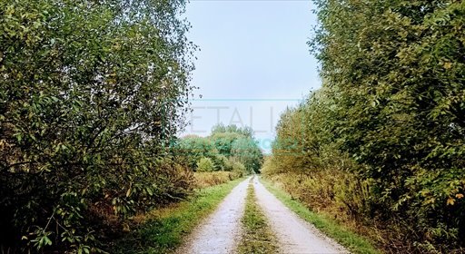 działka na sprzedaż 17000m2 działka Nowa Bukówka