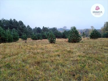 Działka 5207 m² z warunkami zabudowy - polecam działka Stara Kaletka, Stara Kaletka