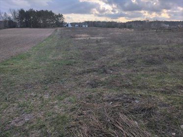 Działka 1800 m2 przy lesie, blisko Tężni w Ciechocinku. działka Ciechocinek, Bajeczna