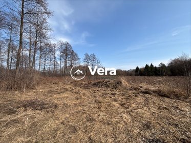 działka na sprzedaż 8843m2 działka Bieganów