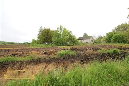 Działka rolna na sprzedaż Tempoczów-Kolonia 23 000m2 Foto 7