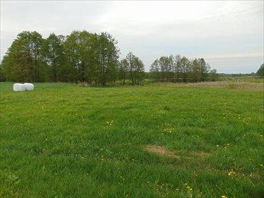 Działka rolna na sprzedaż Kępa Mała 15 000m2 Foto 3