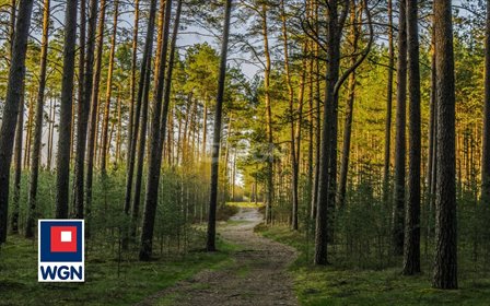 Działka leśna na sprzedaż Sadowiec 1 428m2 Foto 2