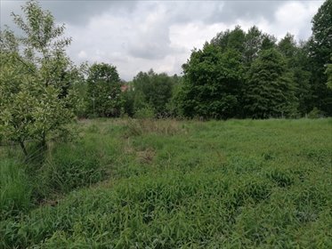 działka na sprzedaż 2700m2 działka Orzesze, 22 Lipca