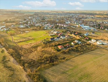 działka na sprzedaż 8005m2 działka Dołuje, Jesienny Sad