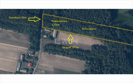 Na sprzedaż działka leśno-rolna 1,7 ha w Borkach działka Borki, 74/2