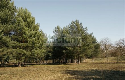 Działka 2121 m² przy Rezerwacie Jabłonna - polecam! działka Rajszew