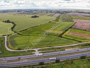 Na sprzedaż teren inwestycyjny 80 ha z dostępem do autostrady działka Kłudno Stare
