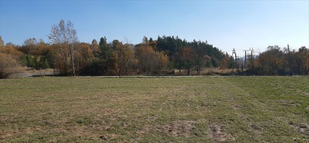 Działka inwestycyjna na sprzedaż Wysoczany 10 000m2 Foto 5