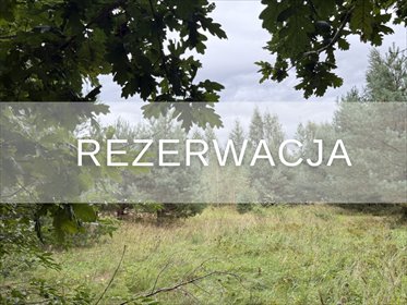 Na sprzedaż działka 5006 m² w Powałkach - idealna pod dom działka Powałki