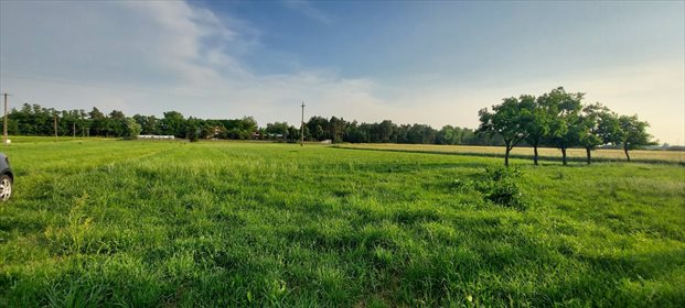 Działka siedliskowa na sprzedaż Barczew 5 900m2 Foto 2