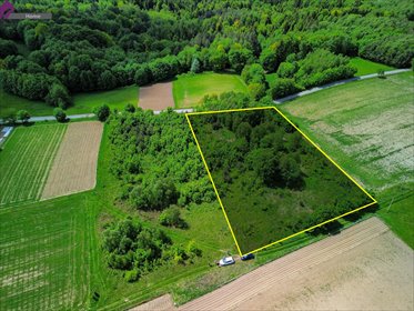 działka na sprzedaż 5000m2 działka Blizianka, Blizianka