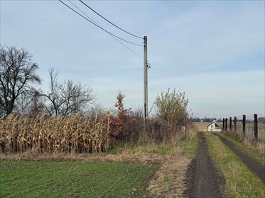 działka na sprzedaż 845m2 działka Pińczyce, Pińczyce