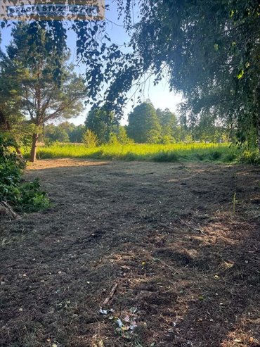 Działka 806 m² z dostępem do strumienia (Łysonie) działka Łysonie