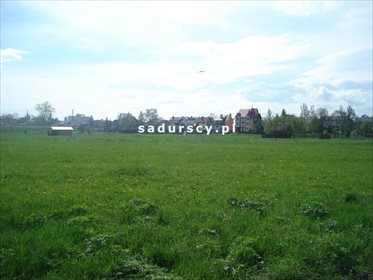 Działka inwestycyjna na sprzedaż Nowy Targ, Ibisor 3 910m2 Foto 3
