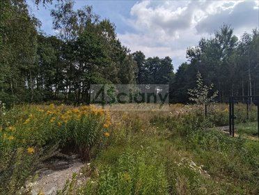 Działka 2128 m² z warunkami zabudowy i starodrzewiem działka Warszawa, Białołęka