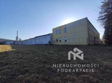 Sprzedam magazyn 3000 m² z biurem i placem w Dynowie magazyn Dynów