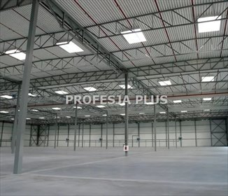 lokal użytkowy na wynajem 1300m2 lokal użytkowy Zabrze