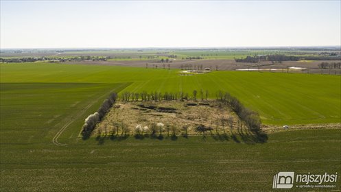 działka na sprzedaż 22500m2 działka WITKOWO PIERWSZE