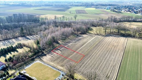 Działka inna na sprzedaż Przyszowice 1 150m2 Foto 6