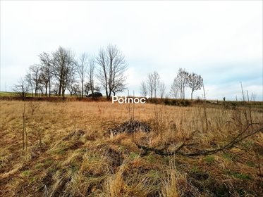 działka na sprzedaż 3950m2 działka Sulisławice