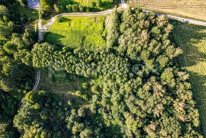 Działka 1,28 ha z możliwością zabudowy i rekreacji działka Nowy Borek