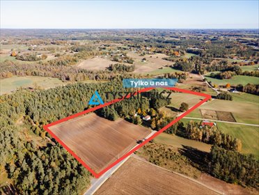 Działka inwestycyjna 6,53 ha z WZ na domy i tereny przemysłowe działka Pomieczyno, Spacerowa