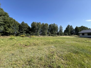 Działka 1606 m² z warunkami zabudowy w Dalikowie zapraszam działka Dalików