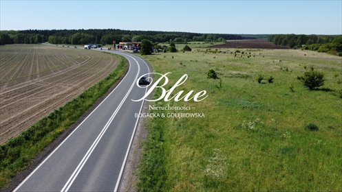 działka na sprzedaż 8007m2 działka Chojna