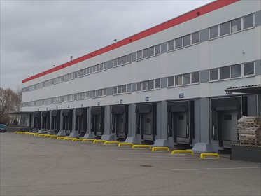 Lokal użytkowy na wynajem Ruda 5 000m2 Foto 5