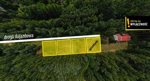 Działka 800 m² w lesie, media, blisko Kielc – idealna! działka Kranów