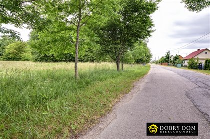 działka na sprzedaż 4000m2 działka Białowieża