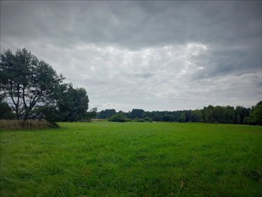 Działka siedliskowa na sprzedaż Malerzów, Dobroszyce 2 000m2 Foto 5