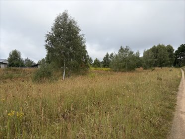 Zapraszam do zakupu działki 3001 m² w Storkowie działka Ińsko