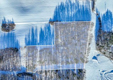 działka na sprzedaż 16500m2 działka Rokity