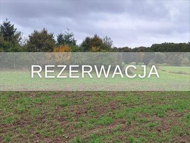 Zapraszam do zakupu działki 1471 m² z mediami i warunkami zabudowy działka Dąbrowa, kujawsko-pomorskie