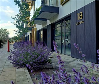 Nowoczesny lokal na wynajem w centrum Białegostoku. lokal użytkowy Białystok, Centrum, Czysta