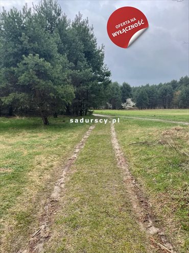 działka na sprzedaż 2522m2 działka Chrzanów, Kościelec, Kasztanowa