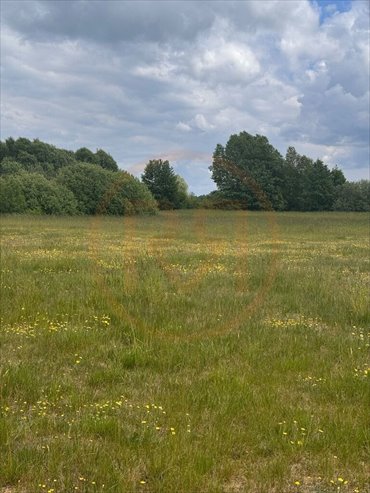 Działka 3099 m² z warunkami zabudowy, las i jezioro działka Regiel