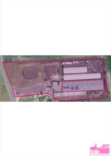 Hala 528 m² z garażem i działką w Radomicach polecam lokal użytkowy Lipno, Radomice
