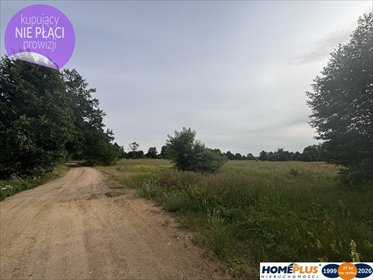 Działka pod turystykę 9 757 m², blisko rzeki, MPZP działka Arciechów