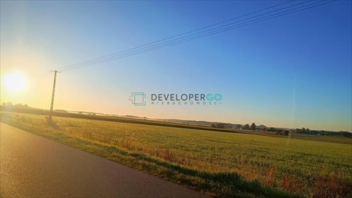 działka na sprzedaż 1500m2 działka Kurowo-Kolonia