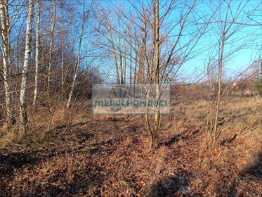 Urokliwa działka 1000 m² z mediami, las, blisko Warszawy działka Żelechów