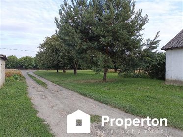 Działka 3870 m² z domem i budynkami w Ziółkowie działka Ziółków
