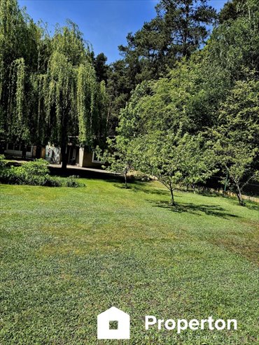 działka na sprzedaż 1100m2 działka Mikanów
