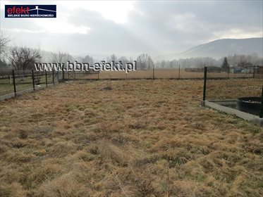 Działka budowlana na sprzedaż Bujaków 3 633m2 Foto 1